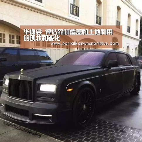 华体会_评估森林覆盖和土地利用的现状和变化