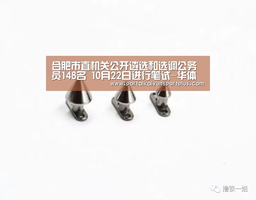 合肥市直机关公开遴选和选调公务员148名 10月22日进行笔试-华体会