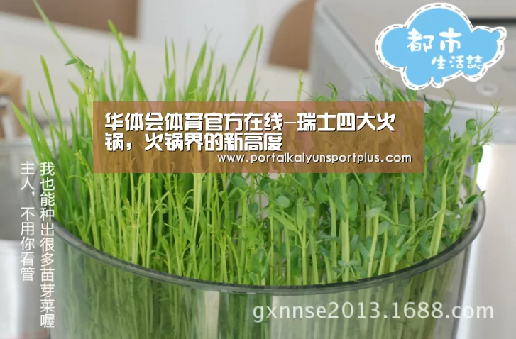 华体会体育官方在线-瑞士四大火锅,火锅界的新高度(图1) 华体会体育官方在线-瑞士四大火锅,火锅界的新高度(图1)
