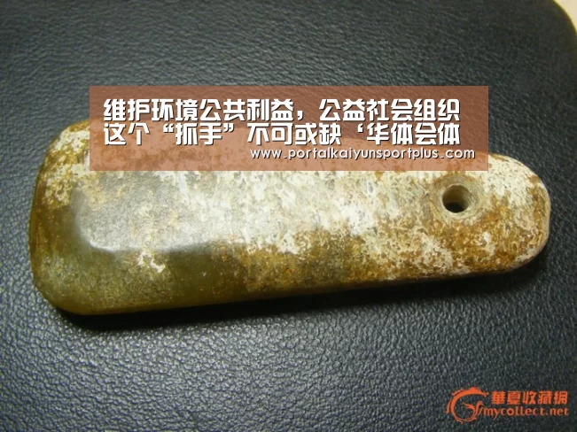 维护环境公共利益,公益社会组织这个“抓手”不可或缺‘华体会体育官方在线’(图2) 华体会